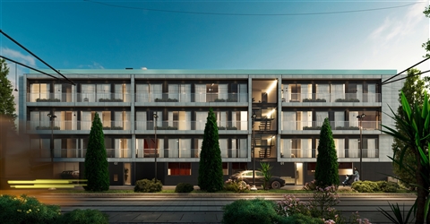 The Line — Boavista